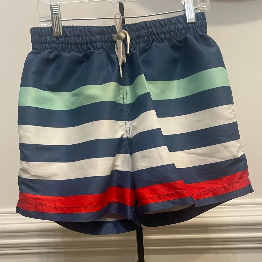 Chubbies, Men's Me Likey the Stripey 4”Swim Shorts 🩳 (Deep Blue/) Sz S